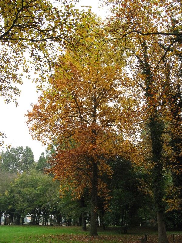 Autunno alpino